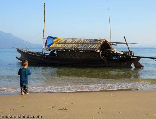 Houseboat Revival – high hopes on the high seas